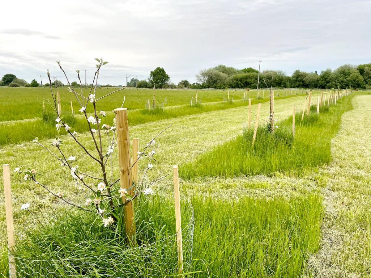 Brackenxcapes Glamping Hotel Newark-on-Trent  Luaran gambar